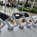 호수공원7로 이미지