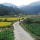 향수100리길 이미지