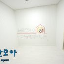 우대표공인중개사사무소 Daum카페