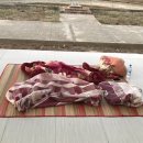 해남섬민박 이미지