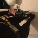 잠보나이트 이미지