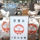 길음역 9번출구 | 현대백화점 미아점 원주 소금산 소금빵 오픈 소금빵 증정 행사