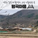 왕곡마을저잣거리 | 고성 왕곡마을, 시간여행 떠나는 강원도 고성 가볼만한 곳