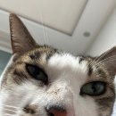 주식회사 폴에이산업 | 5월 성수동 데이트 (문도 픽사 전시회 후기 😢)