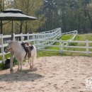 경하목장 네이버블로그