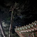 경남문화예술진흥원 노동조합 | 양산 통도사 미디어아트 전시 무료로즐기는 야간 디지털 아트축제