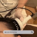 두피랑피부랑 | 울산 남구 온콜로지 에스테틱 금수저피부관리실 두피관리 받은 후기