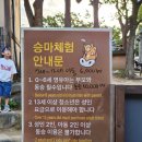 (주)한국아이닷컴 | 용인 가볼만한곳 1순위! 한국민속촌 야간개장 귀신사바 가족 나들이 후기