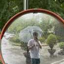 차영수피부과의원 이미지