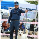 화수초등학교 이미지