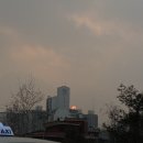 방배천로32길 20 | 다이어트 중인데 맛집 후기 올리는 아이러니한 상황인데 이걸 치팅이라고 해 말어?