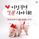 꾸면돼지 - 성남시 분당구 동판교로 91 | 꾸면돼지