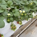 여울농장1 이미지