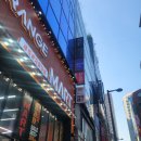 슬림영의원 네이버블로그