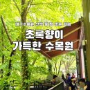 사문진교 | 대구 수목원 초록향이 가득한 카페 후기 | 산책 후 들르기 좋은 감성 카페 위치 주차 분위기