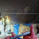 오포2동-4 이미지