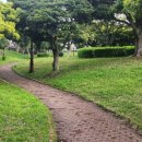 제주 올레길 7-1코스 이미지