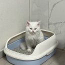 이삭토스트 도원점 | 2025.08 요약