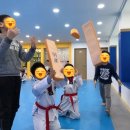 용인대가온누리태권도장 | 고등동 매산동 매교동 수원초태권도장 새학기에는 태권도가 최고죠