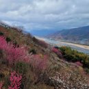 황성농장 이미지