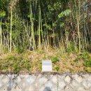 창원 내동패총 이미지