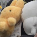 뽀바뽀바 이미지