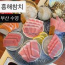 흥해참치 | 부산 수영역 퀄리티와 가성비좋은 참치맛집 : 흥해참치 내돈내산 후기