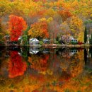 가을의 색감 이미지