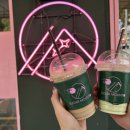 슈가마운트