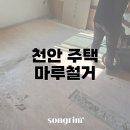 송림경기지사 이미지