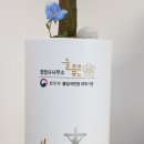 보라 행정사 사무소 이미지