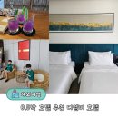 디셈버 | 나트랑 0.5박 디셈버 호텔 내돈내산 후기