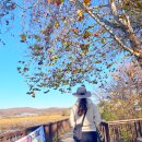 보통리 저수지 1 이미지