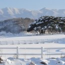 지리목장 이미지