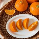 주한농장 이미지