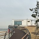 브라우니앤브레드 | 바다뷰카페 송도대형카페] 인천송도 오션뷰 대형카페 인천대교뷰카페 롱비치커피앤브래드 내돈내산 후기