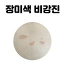 설성반점 | 몸에 계속 퍼지는 빨간 점. 가려움. 장미색 비강진 치료 후기