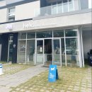 마을애견 이미지