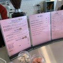 산책하는 고양이 이미지