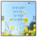 대기철쭉꽃마을 이미지