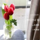 사가커피
