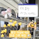 고릴라리빙