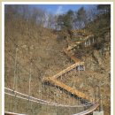 평화유원지 이미지