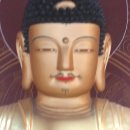 진주 연화사 목조 아미타여래좌상 이미지