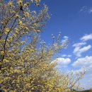 예곡마을회관 이미지