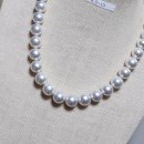 조은선물컬렉션 이미지