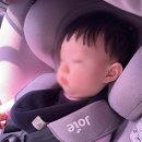 플로렌스케이크 | 돌끝맘 / 서울 플로렌스 보라매점 돌잔치 후기