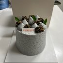 서천동 | [용인] 서천동 생일케이크 추천 오렌지 슈크레 예약 후기