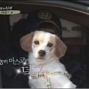 우리덕구 동물병원 이미지