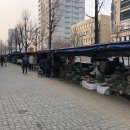 노점55